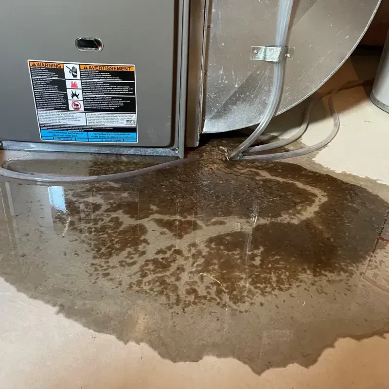 Appliance Leak Cleanup in Mount Morris, NY